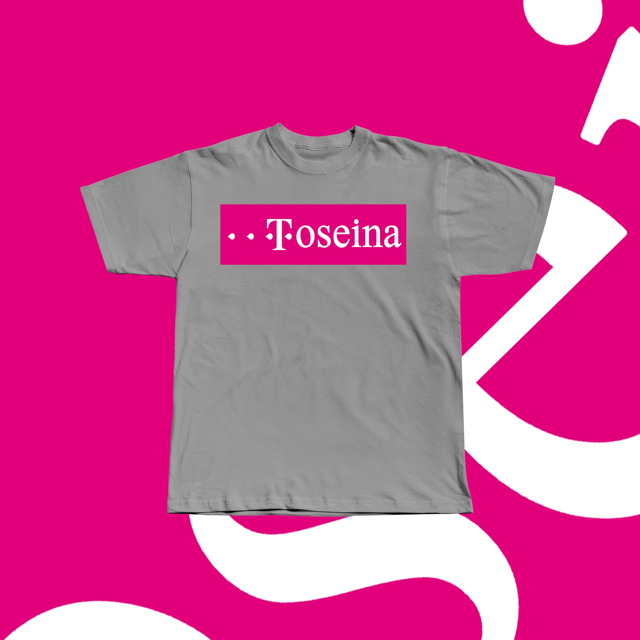 Bild von TOSEINA - SHIRT [grau]